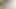 Rus olgunlaşır web 1