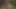 Ateşli Japon Chihiro Akino uzman oral seks becerileriyle zevk alıyor