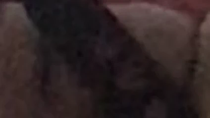 Daha fazla kedi oyun ile kirli konuşurken