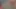 Tavşan kız anal seks yapıyor