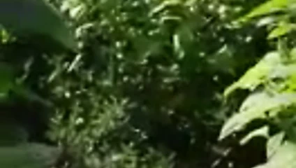 Gerçek seks yaşlı adam ve kadın