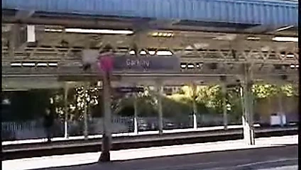 Olgun tina (römork)