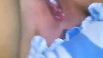 Boğa kediyi dolduruyor.