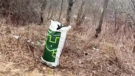 Ormanda Çok Havalı Işiyor