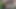 Erkek delisi ev hanımı ormanda açık havada onu sikmeme izin veriyor