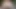 Vid05