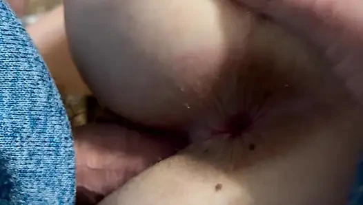 Çaresiz domuzcuk kullanılıyor