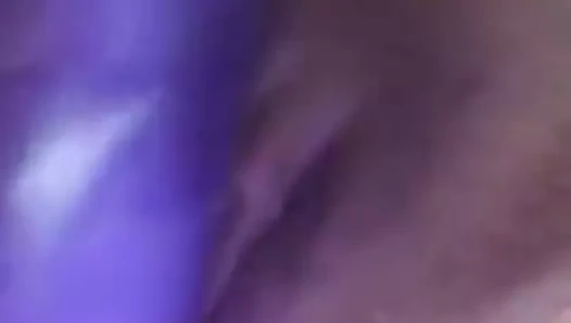 Eski kız arkadaş kremsi kedi