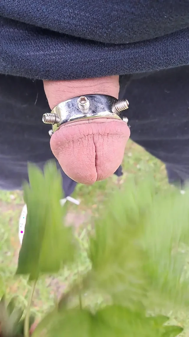 gevşek penisim için ısırgan otu