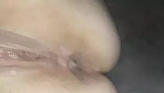 KEDİ koca göğüsler