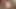 Slutty Vixen aynı anda sikilirken yarak emiyor