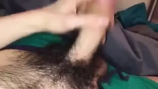 kıllı genç dev horoz