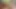 Orta yaşlı seksi kadın anal takıntılı ev hanımı lauren büyük zenci yarağının tadına bakıyor