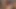 Başka bir seksi krikolar aynı anda iki adam kapalı