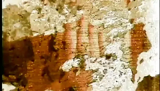 Islak kasık salonu - (full hd versiyonunda yeniden şekillendirme filmi)