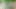 Emekli kıdemli, Adela Youn'a ihtiyacı olan tüm odunu veriyor.