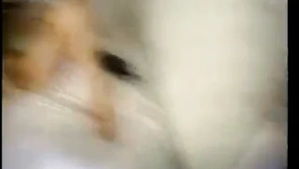 A la recherche des minyonlar çapkunlar, bölüm 9 - üçlü seks