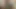 Seksi kızıl saçlı gırtlağına kadar alıyor ve uzun siyah yarağı alıyor