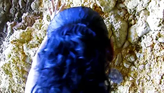 Abanoz genç var ırklararası anal seks