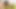 Üvey kızımı sikiyorum ve ona bana karımı hatırlattığını söylüyorum - İspanyol pornosu