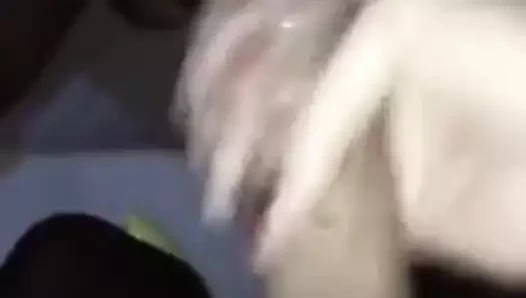 trans italiana sborra in bocca