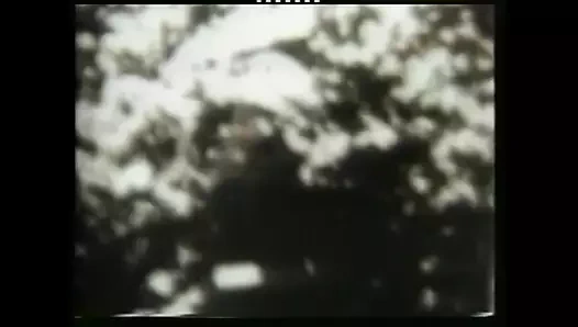 Scandali di Hollywood - scene 3