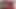 Twistys - sevgililer günün kutlu olsun
