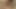 Bdsm sevimli genç çocuk ip gag pt ile bağlı. 2