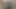 Bol boynuzlar