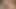 Wankz- taze 18 yaşındaki ava sparxxx 1. porno