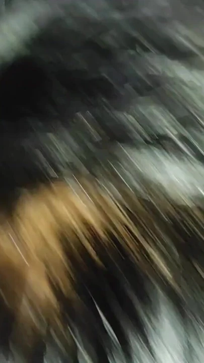 Обязательный для просмотра момент из "Моему боссу очень нравится мои маленькие, он любит, чтобы оставить меня"