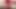 Porno Arap Mısırlı - büyük götlü Arap