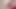 Kolej eş jillian janson ve elsa jean hisse onların öğretmek