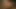 Ginger lynn fotoğrafçıyı beceriyor
