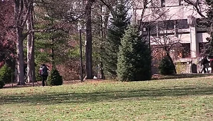 yıldızlararası uzaydan bebeğim (2014)