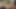 Yeni reşit sarışın saçlı Nikky Thorne götünü siktiriyor