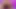 Tanrıça rosie reed abanoz göt clapping twerking ince kalın