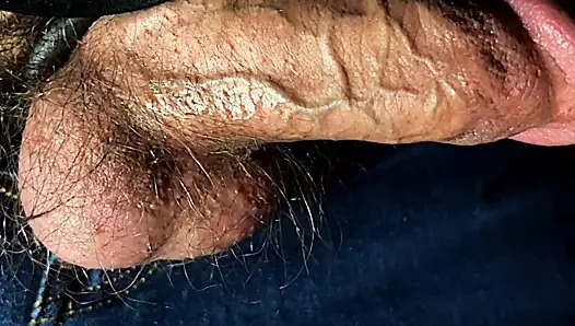 Big Veiny Cock Shaft out of jeans close up