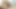 Desi indian couple enjoyed lingery then kissing and fucking