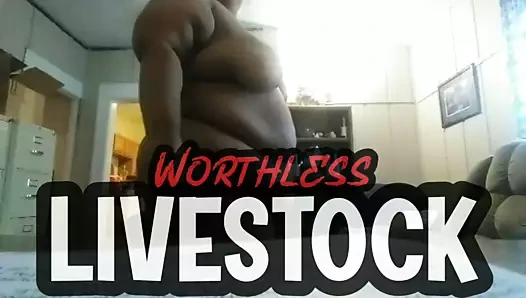 Aşağılanmış şişman pis fahişe