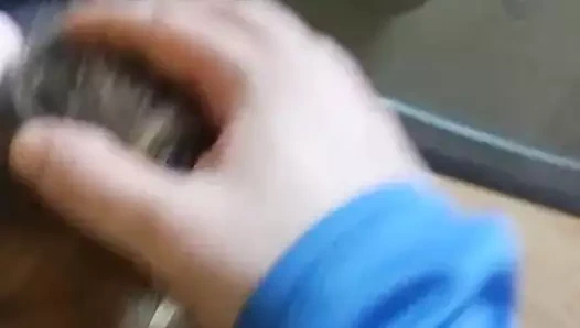 amatör kaltak berbat horoz