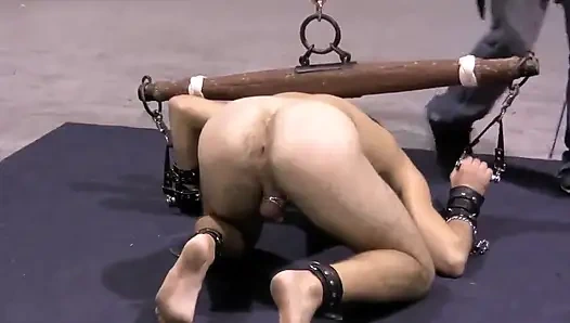 İyi döllenmiş köleler - bölüm 4