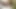 İtaatkar güzel milf – oral seks ve lanet kedi ve eşek