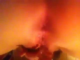 Seksi kız kedi ile oynuyor