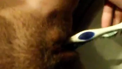 Diş fırçasıyla mastürbasyon yapıyor