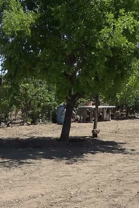 Sarışın orta yaşlı seksi kadın açık havada adamın sert yarağını boşaltıyor