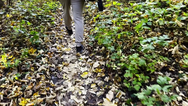 "Plaj"a küçük bir ziyaret