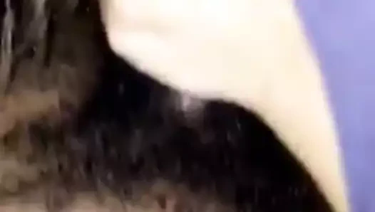 ıslak dağınıklık