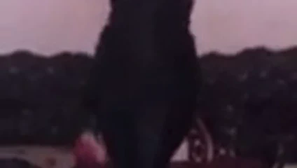 Kardeş dedia dansları ile büyük göğüsler