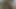 Parlayan yağlı siyah güzellik oyun ile kedi ve eşek